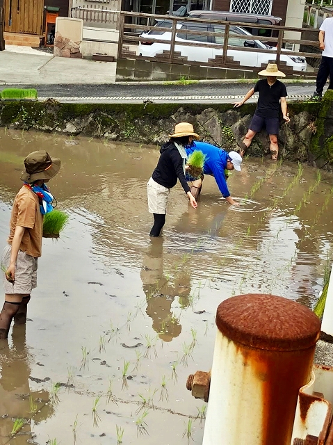 2taue.jpg
