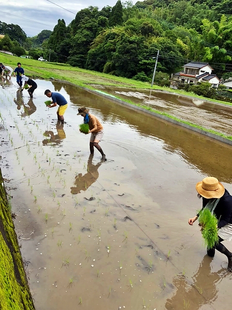 3taue.jpg