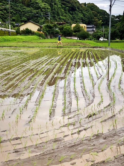 6taue.jpg