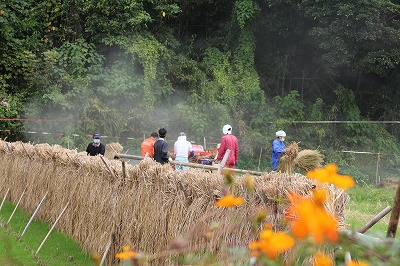 IMG_5189.jpg