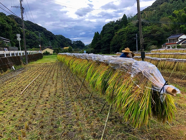 掛け干し.jpg
