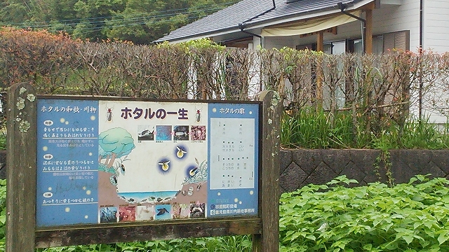 蛍の生息する綺麗な山里.jpg